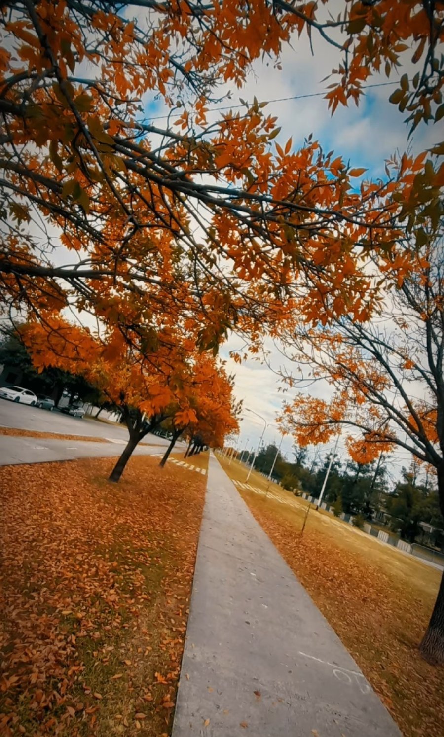 OTO&Ntilde;O HELADO. Luego de algunas jornadas templadas se viene una ola polar a nuestra regi&oacute;n y se esperan varios d&iacute;as de fr&iacute;o extremo. &iexcl;A cuidarse!