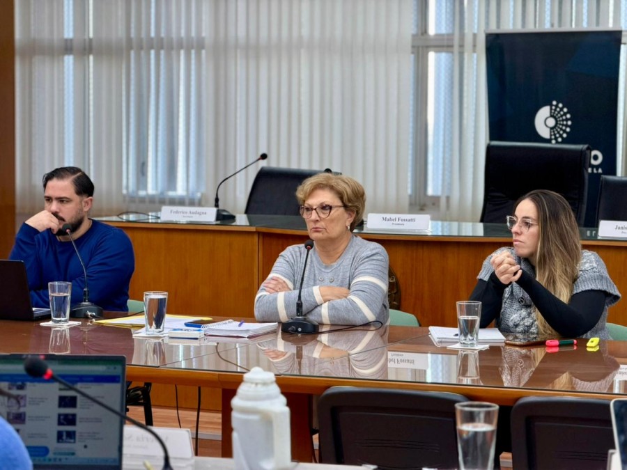 La presidente del Concejo, Mabel Fossatti, estuvo al frente de la reuni&oacute;n de comisiones junto a las autoridades del cuerpo legislativo, Federico Audagna y Janise Lamas.