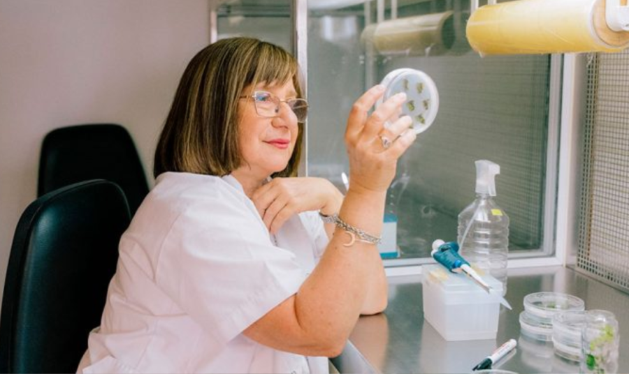 La investigadora del CONICET, Raquel Chan fue distinguida con el prestigioso premio internacional L&rsquo;Or&eacute;al-UNESCO &ldquo;Por las Mujeres en la Ciencia&rdquo;.