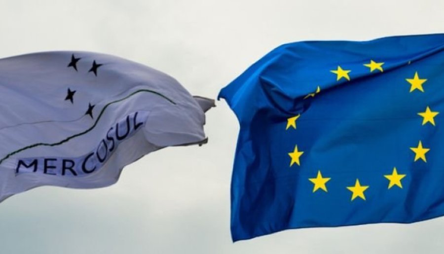 UN HITO QUE MARCA EL RUMBO. Argentina complet&oacute; su cupo exportador de huevos hacia la Uni&oacute;n Europea y super&oacute; las 330 toneladas establecidas en el marco del acuerdo Mercosur-UE.
