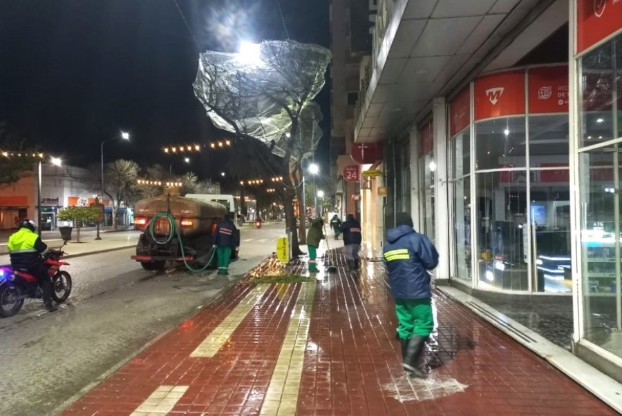 Se finalizaron las tareas de colocaci&oacute;n de redes sobre &aacute;rboles ubicados en calle G&uuml;emes.