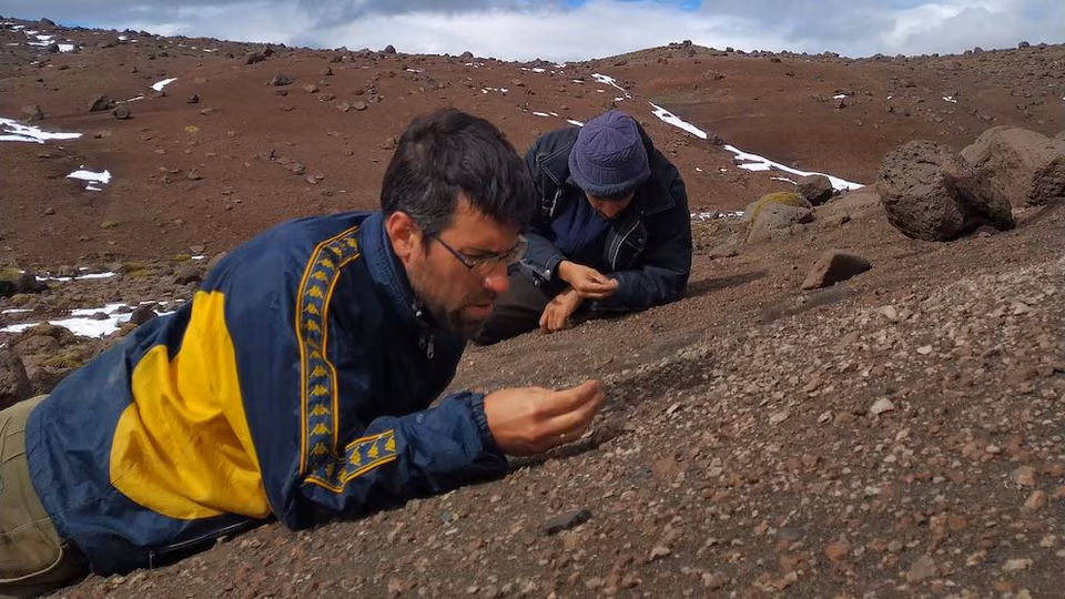 El dinosaurio fue hallado en rocas del Cret&aacute;cico Superior.