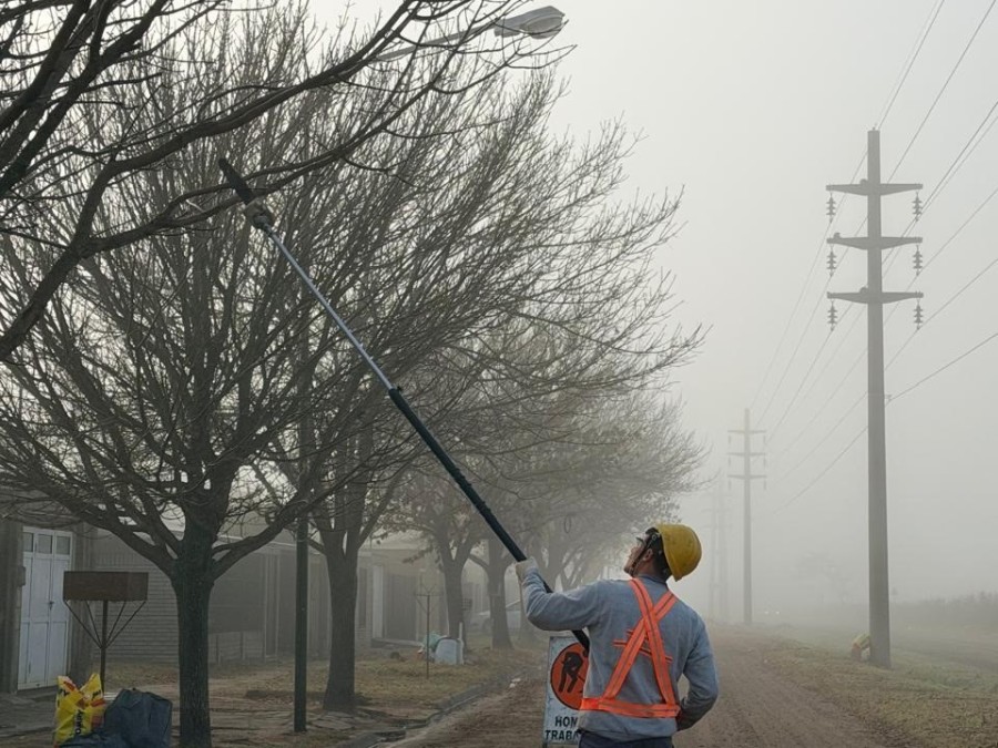 Todos los trabajos se desarrollan respetando la Ley Provincial del &Aacute;rbol N.&ordm; 13.836 y la Ordenanza Municipal N.&ordm; 2.636.