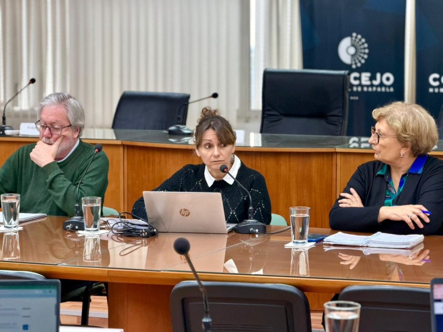 La funcionaria mostr&oacute; gr&aacute;ficos vinculados al estado de situaci&oacute;n financiera de la municipalidad de Rafaela.