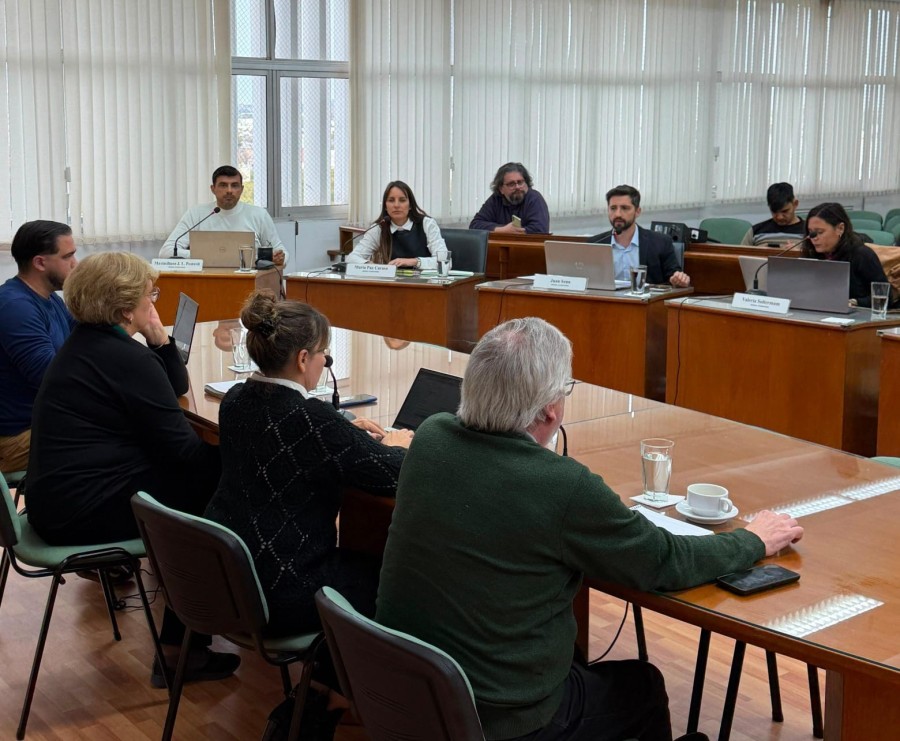 El bloque de concejales del PJ durante la reuni&oacute;n con Silvina Bravino, quien asisti&oacute; junto a Marcelo Barbero.