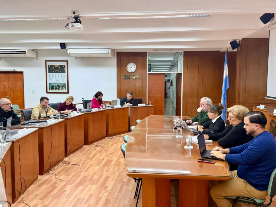 La secretaria de Hacienda, Silvina Bravino frente a los concejales durante la reuni&oacute;n de este martes.