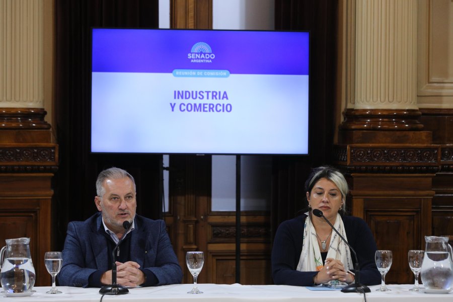 El senador nacional por Santa Fe, Marcelo Lewandowski al ser reelecto en una Comisi&oacute;n estrat&eacute;gica de la C&aacute;mara alta.