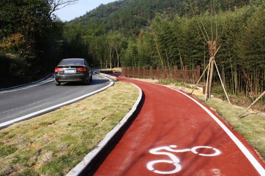 Ciclovía perfectamente diferenciada.