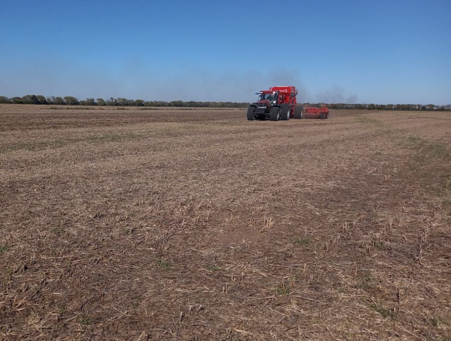 Lote con rastrojo de soja tard&iacute;a (de segunda), en pleno proceso de siembra de trigo en el centro del departamento Castellanos.