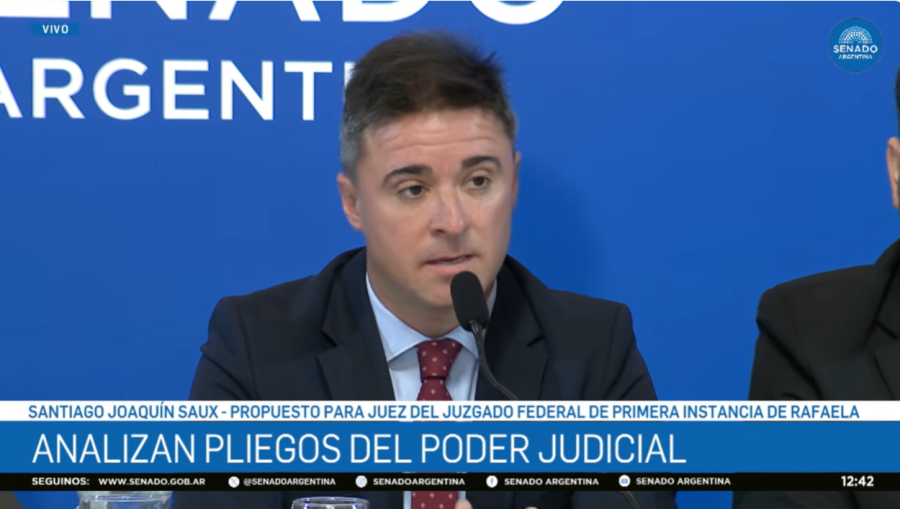 El abogado santafesino Santiago Saux cuando fue convocado por el Senado de la Naci&oacute;n. (CAPTURA VIDEO SENADO)