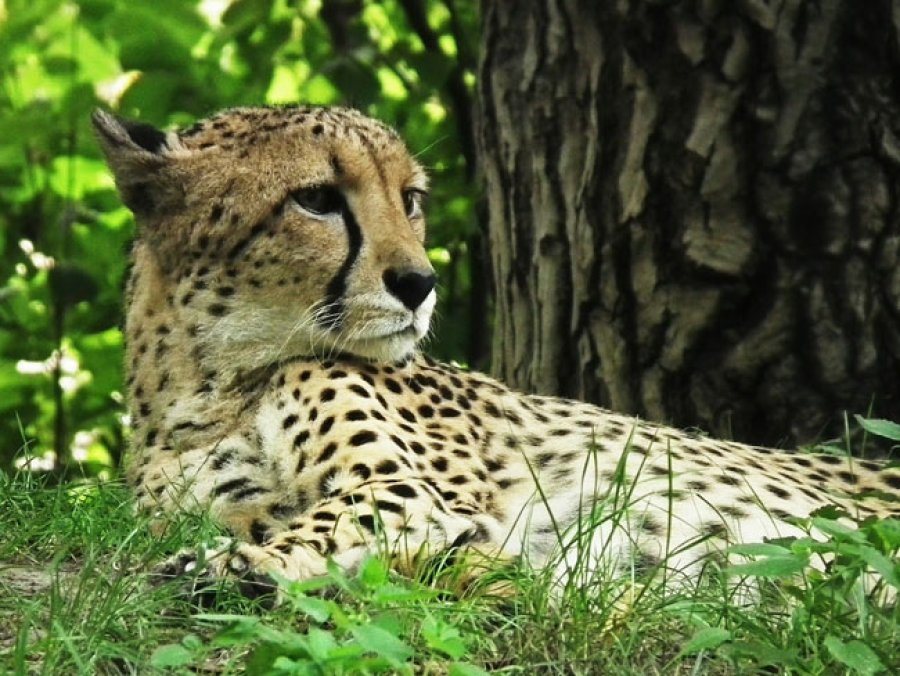 La biodiversidad es fundamental para sostener el medio ambiente.