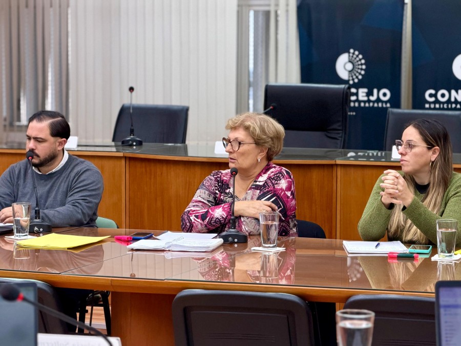 La presidenta del Concejo, Mabel Fossatti, se debi&oacute; esforzar para mantener bajo control la reuni&oacute;n de comisiones de este lunes. (FOTO PRENSA CONCEJO)