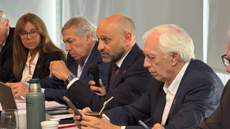 La iniciativa cuenta con el respaldo de los gobiernos de Santa Fe, C&oacute;rdoba y Entre R&iacute;os.
