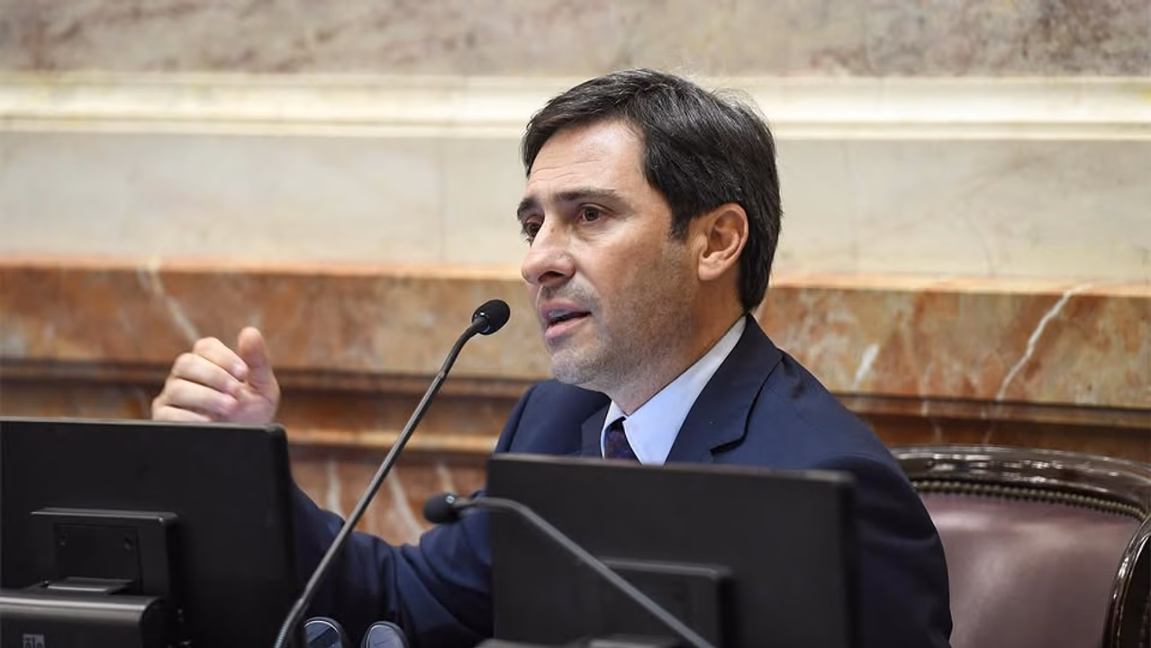 Mart&iacute;n Goerling, jefe del bloque PRO en el Senado de la Naci&oacute;n. (NA)