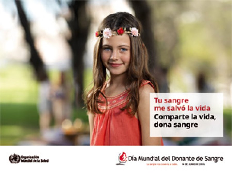 La efem&eacute;ride busca incentivar la donaci&oacute;n.
