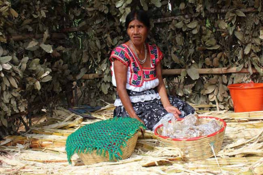 Las remesas familiares  influyen en el desarrollo de los países.