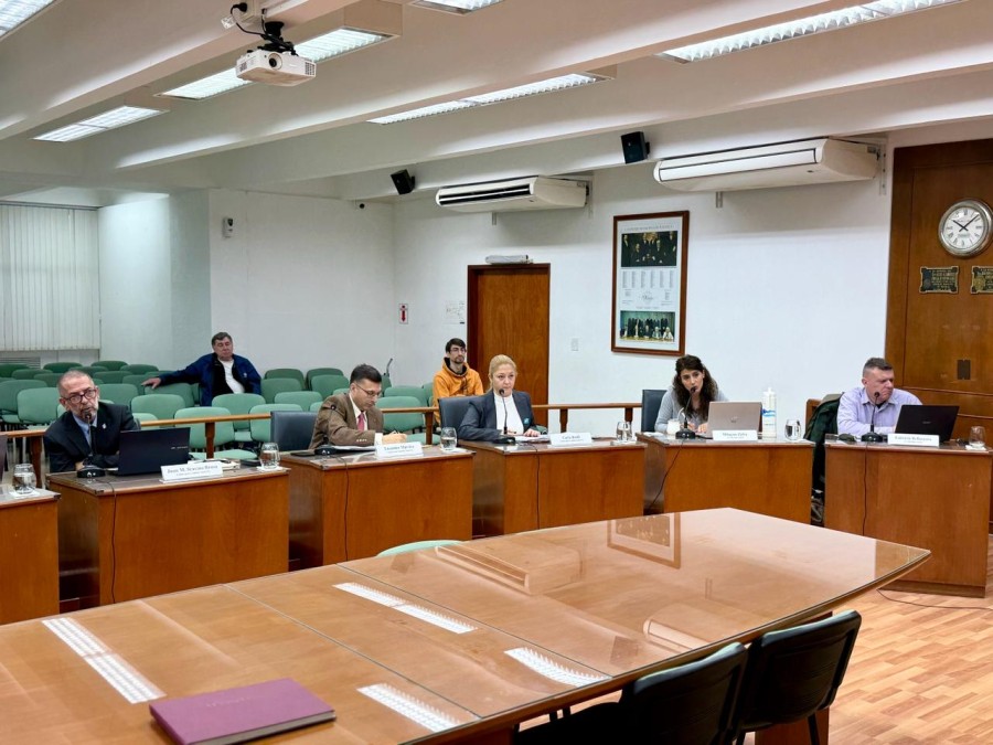 La concejal oficialista Carla Boidi impuls&oacute; el proyecto de ordenanza que le da al Ejecutivo mayores facultades para intervenir en lotes bald&iacute;os o inmuebles abandonados.