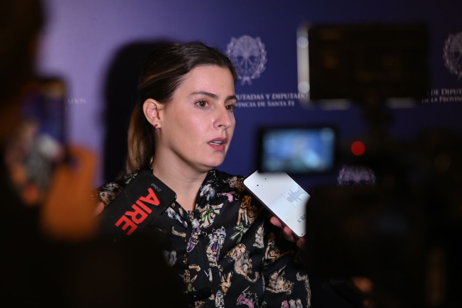 Cattalini valor&oacute; el amplio consenso alcanzado durante el tratamiento legislativo
