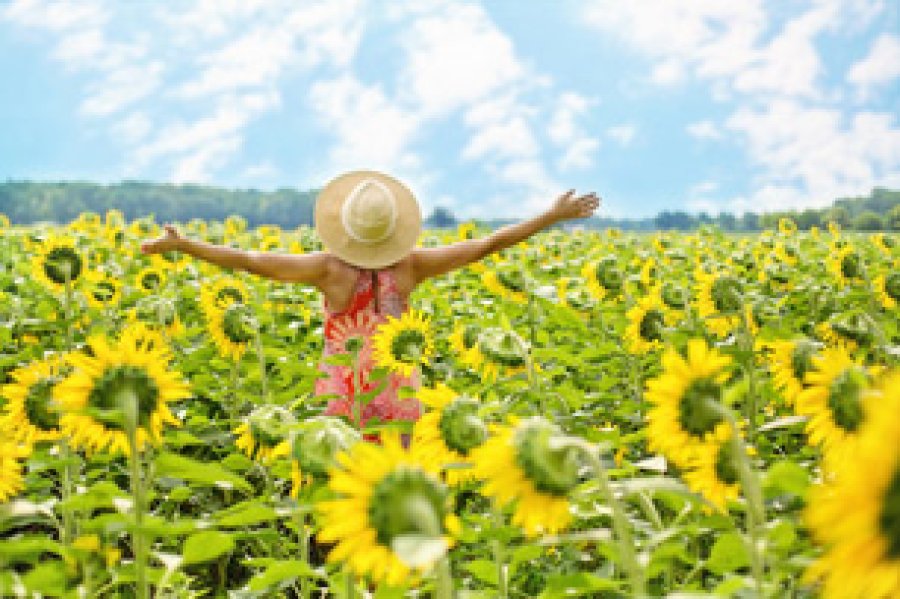 Cualquier motivo es m&aacute;s que suficiente para sentirnos optimistas y positivos. Son muchas las razones para celebrar este gran d&iacute;a, as&iacute; que &iexcl;a disfrutar!