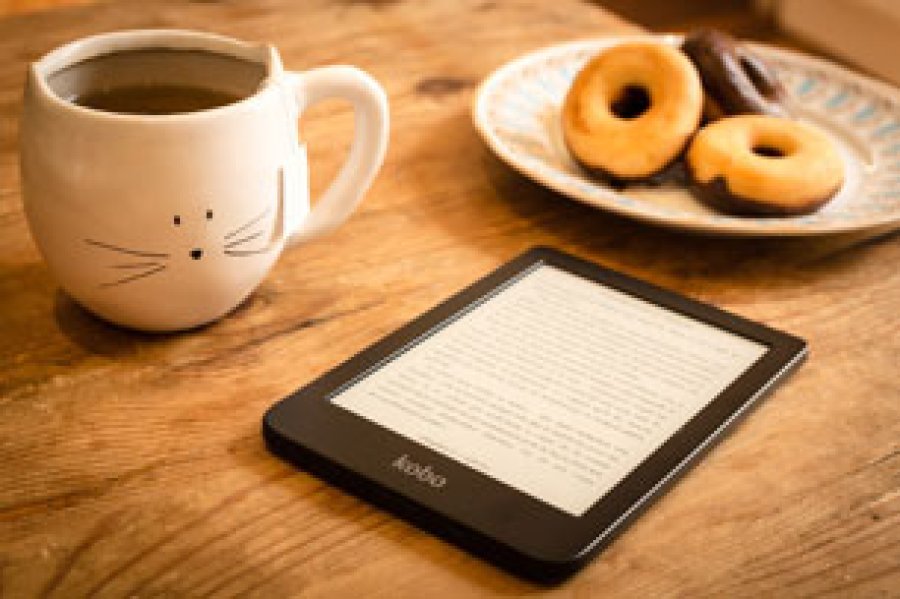 Se pretende divulgar la importancia del uso de los libros digitales, ya que generalmente esta modalidad ha sido marginada en eventos dedicados a la lectura, tales como Ferias del Libro.