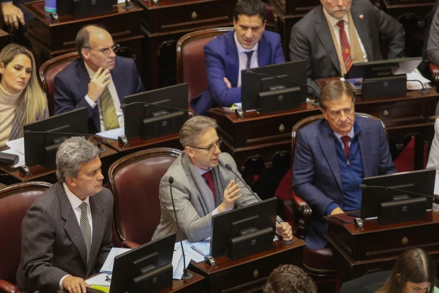 El bloque radical del Senado de la Naci&oacute;n.