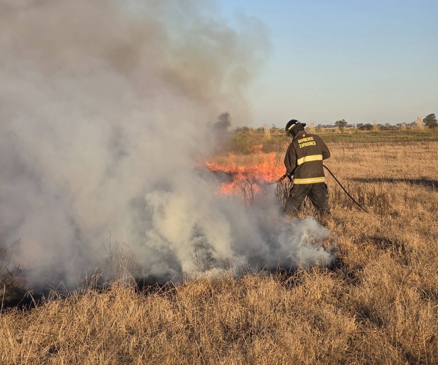 Un bombero trabaja para extinguir las llamas que afectan pasturas en un campo de la zona.