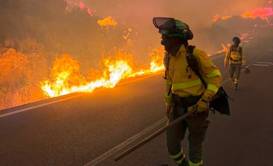 TRAGEDIA. El fuego forestal en el pueblo de Los Gallardos atrap&oacute; a turistas europeos que intentaban huir por rutas alternativas y ya afect&oacute; a m&aacute;s de 3.200 hect&aacute;reas.