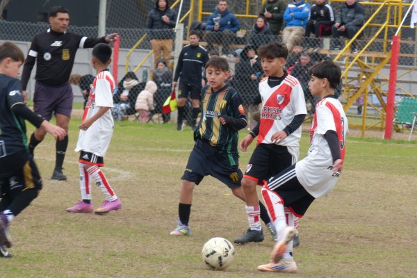 El &ldquo;Leoncito&rdquo; es una fiesta del f&uacute;tbol infantil