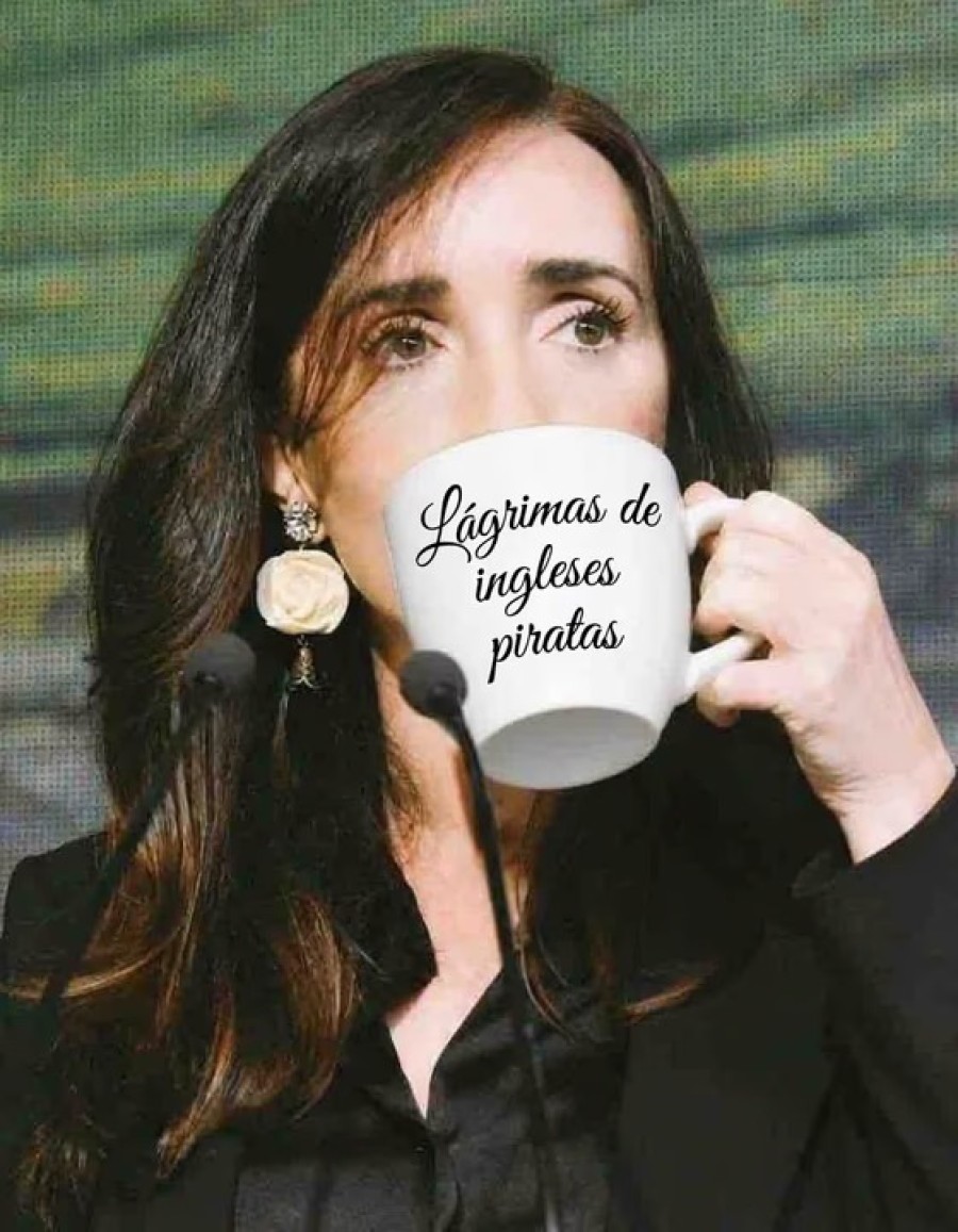 Victoria Villarruel se cruz&oacute; con un usuario de X y respondi&oacute; en defensa del seleccionado argentino.