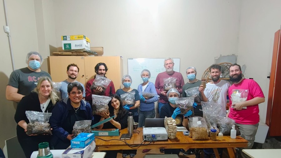 Los hongos ocupan un lugar cada vez m&aacute;s relevante en distintos &aacute;mbitos.