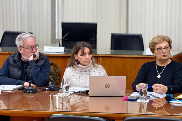 Bravino explic&oacute; al Concejo los motivos para reasignar partidas presupuestarias