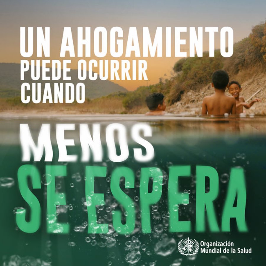 Imagen difundida en redes sociales en 2024.