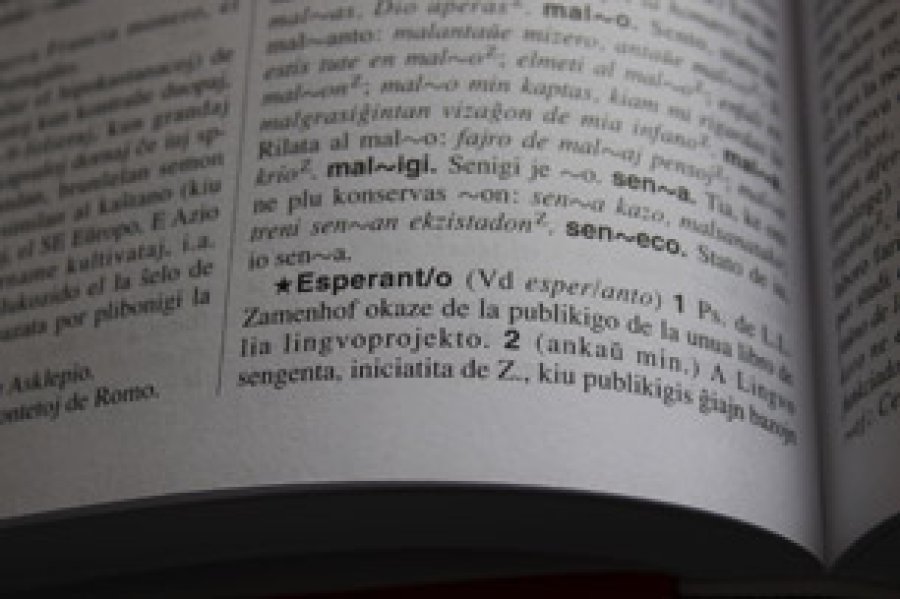 Un idioma que naci&oacute; para ser universal.
