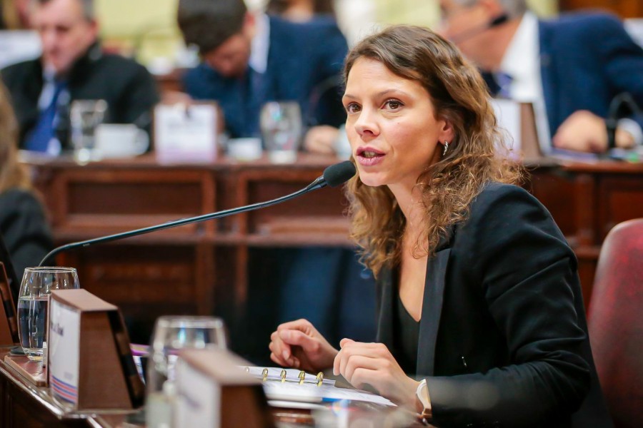 La diputada provincial Gisel Mahmud impulsa una ley para que las familias endeudadas puedan negociar todas sus deudas juntas.