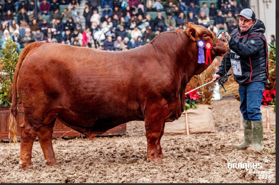 Amador, reservado 2 a&ntilde;os menor.