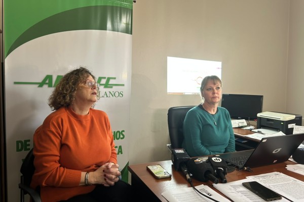 AMSAFE advierte que la calidad educativa y la escuela p&uacute;blica est&aacute;n en riesgo