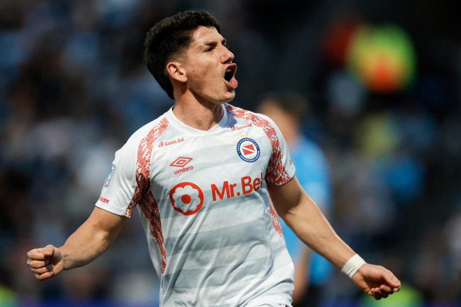 EL BICHO SORPRENDI&Oacute; AL PIRATA