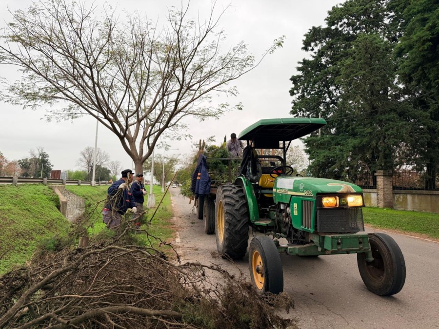 Se solicita a los vecinos circular con precauci&oacute;n en las calles donde se desarrollan las tareas.
