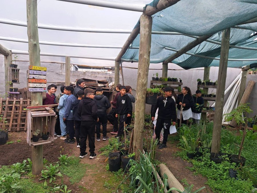 Recorrida por el Vivero.
