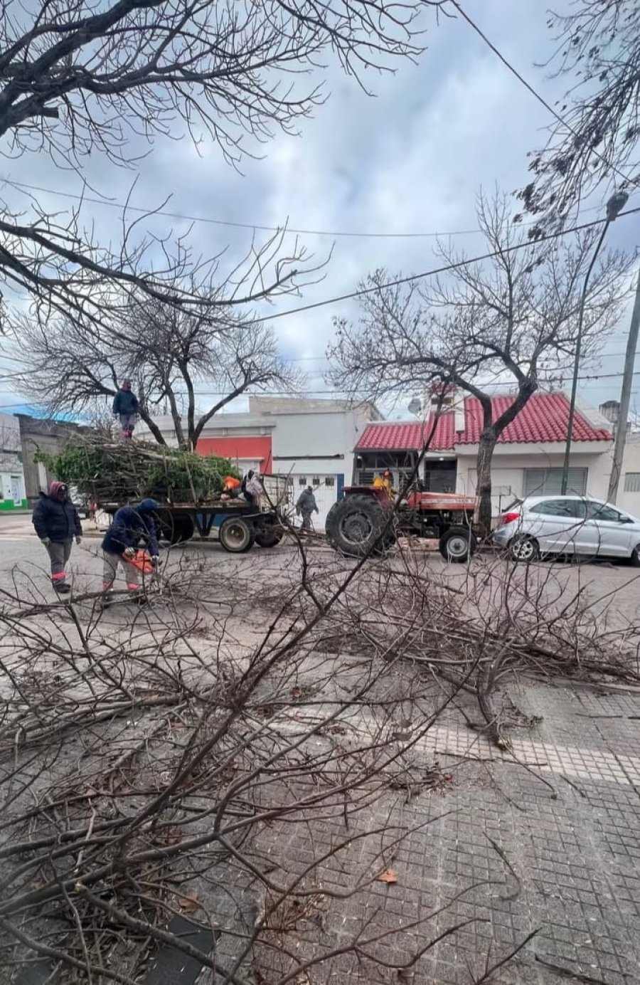 CONSECUENCIAS VARIAS. Las cuadrillas municipales trabajaron arduamente durante la tarde para retirar los gajos de diversos tama&ntilde;os en la v&iacute;a p&uacute;blica en diferentes sectores de la ciudad.