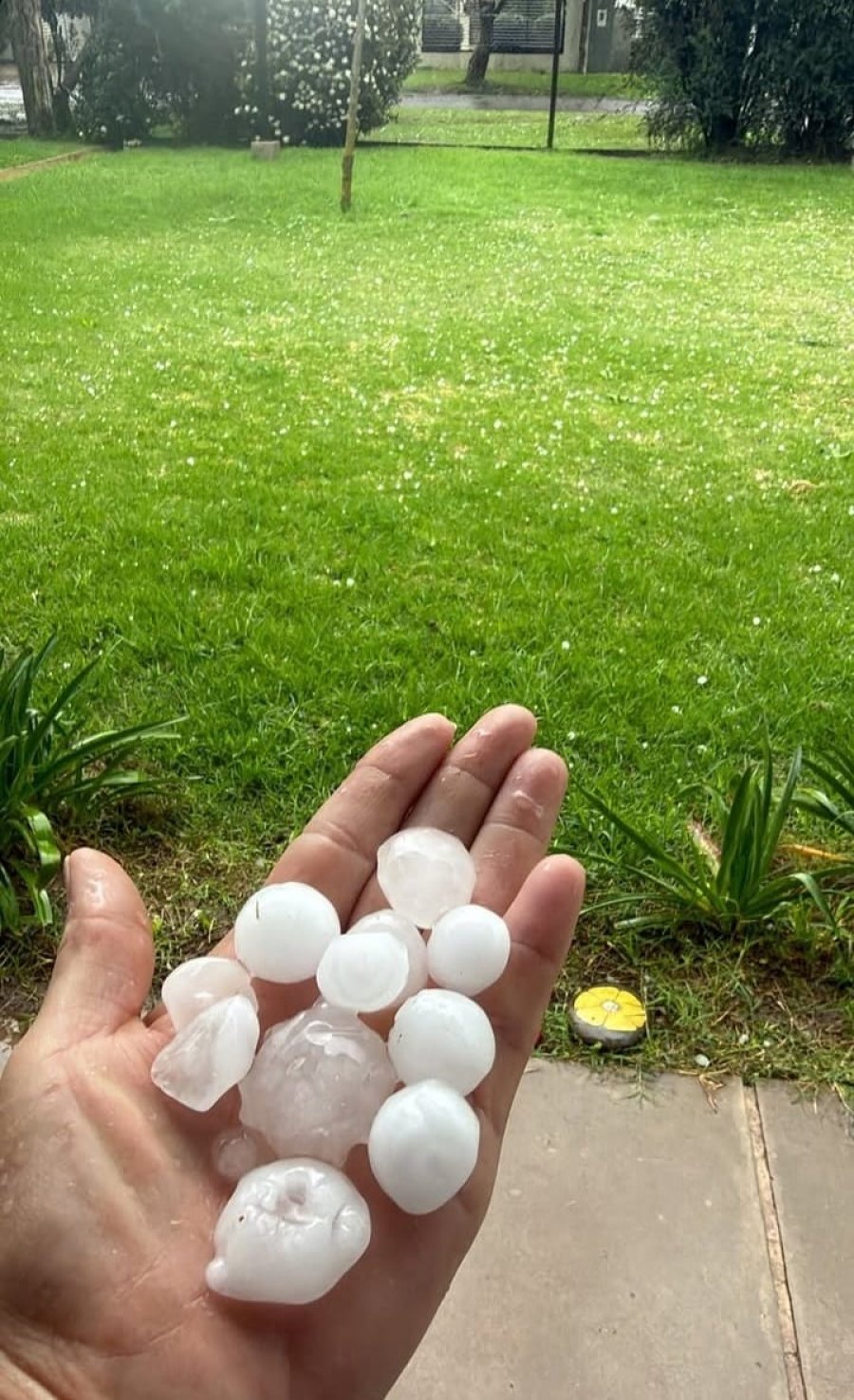 En algunos barrios se registraron ca&iacute;da de granizo de tama&ntilde;o mediano