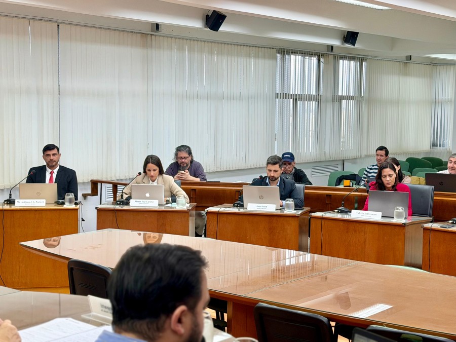 Los concejales del PJ, Maximiliano Postovit, Paz Caruso, Juan Senn y Valeria Soltermam, plantearon duras cr&iacute;ticas contra el Ejecutivo Municipal. (FOTO PRENSA CONCEJO)