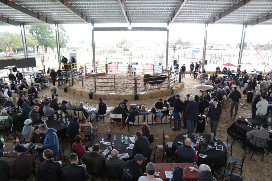 La calidad de los ejemplares fue uno de los puntos m&aacute;s valorados durante la subasta en la Sociedad Rural de San Justo.
