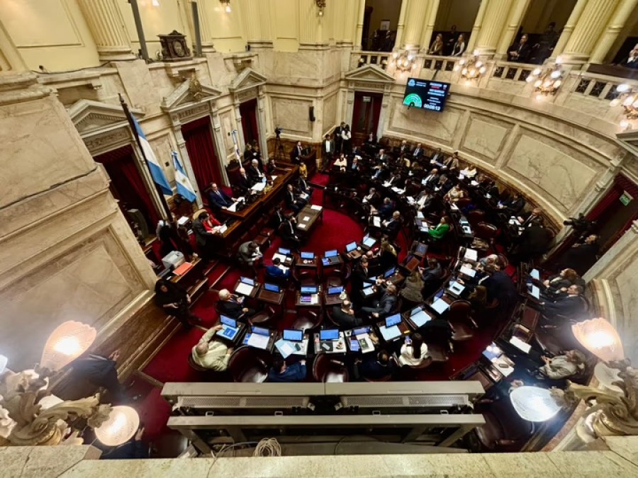 El Senado debate el proyecto de propiedad privada promovido por Sturzenegger.