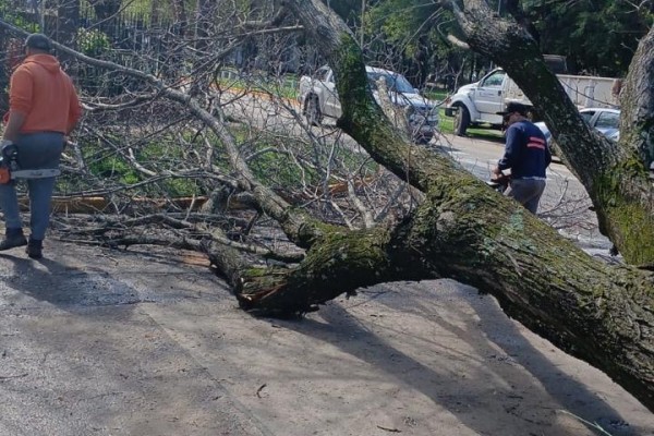 Trabajo conjunto para recuperar los espacios p&uacute;blicos luego del temporal
