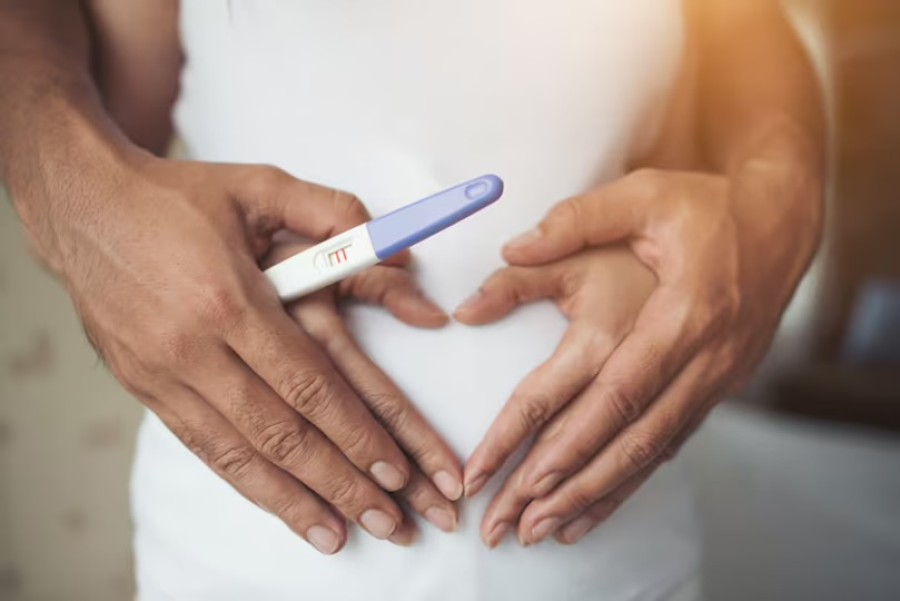 Conocer c&oacute;mo funciona la fertilidad es importante para planificar la vida reproductiva.