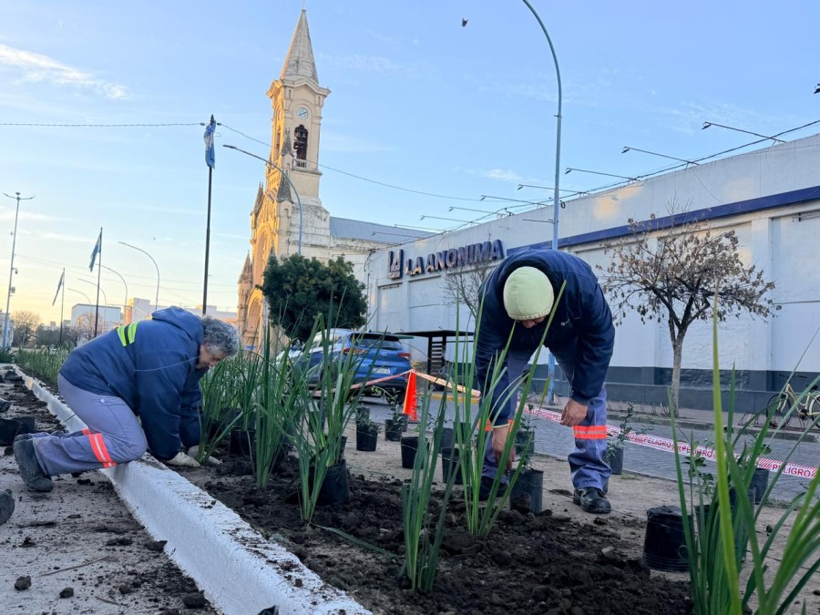 La intervenci&oacute;n continuar&aacute; progresivamente en toda la Plaza 25 de Mayo.