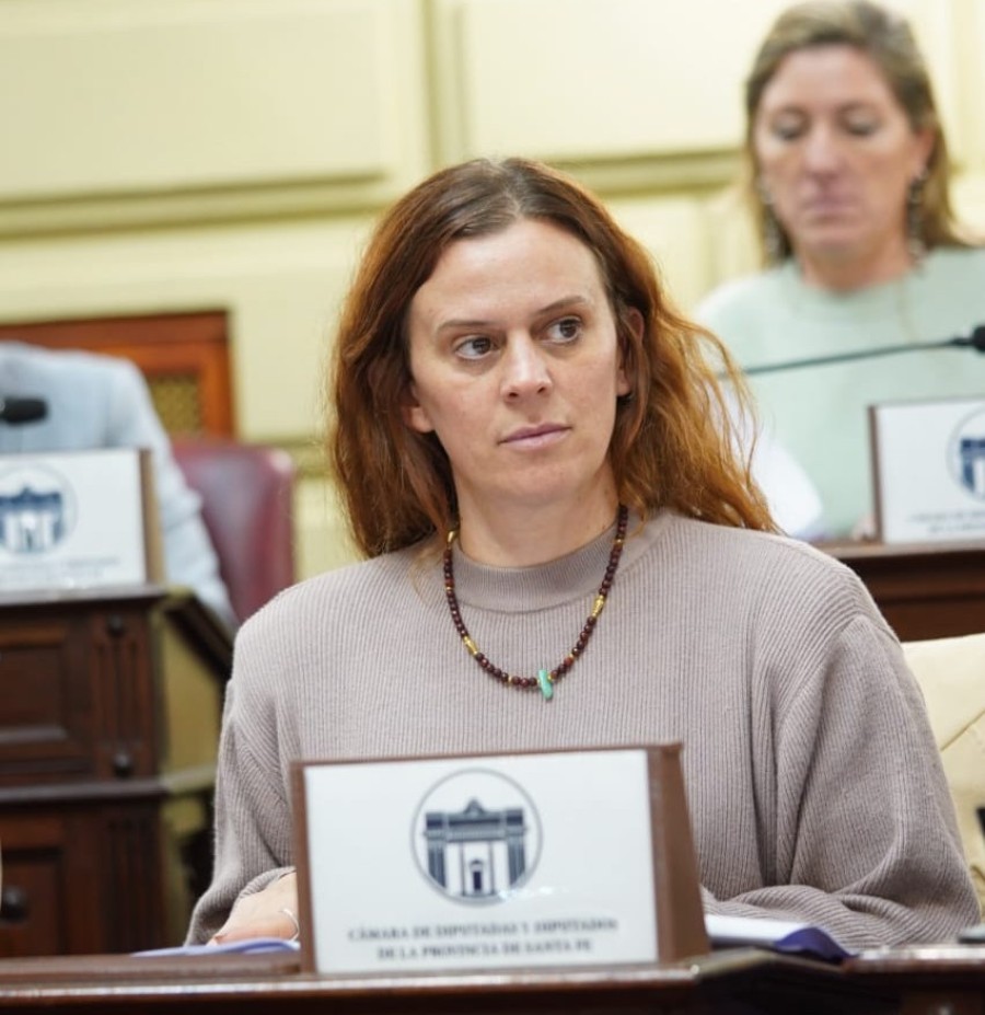 La iniciativa de Sof&iacute;a Masutti se inscribe en el paradigma de protecci&oacute;n integral de derechos consagrado por la Convenci&oacute;n sobre los Derechos del Ni&ntilde;o, con jerarqu&iacute;a constitucional en nuestro pa&iacute;s.