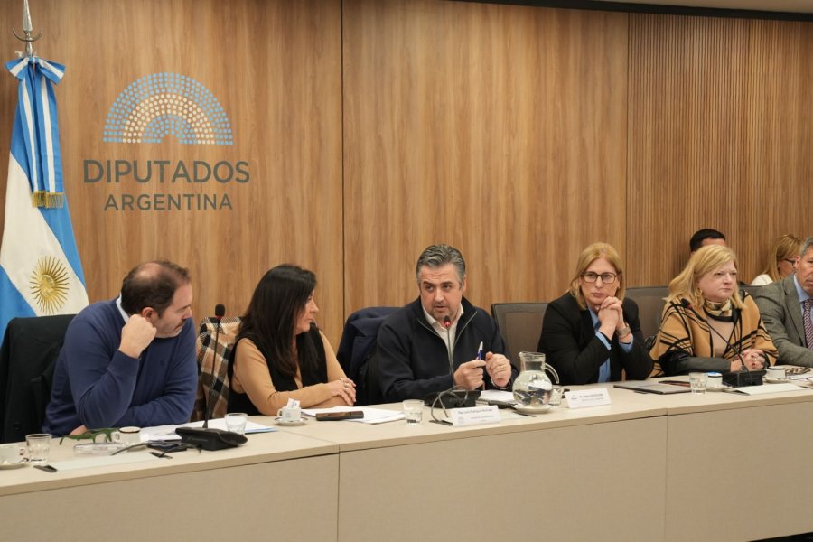 EXPOSICION. La iniciativa busca brindar nuevas herramientas a las provincias que decidan asumir mayores competencias en la persecuci&oacute;n del narcomenudeo.