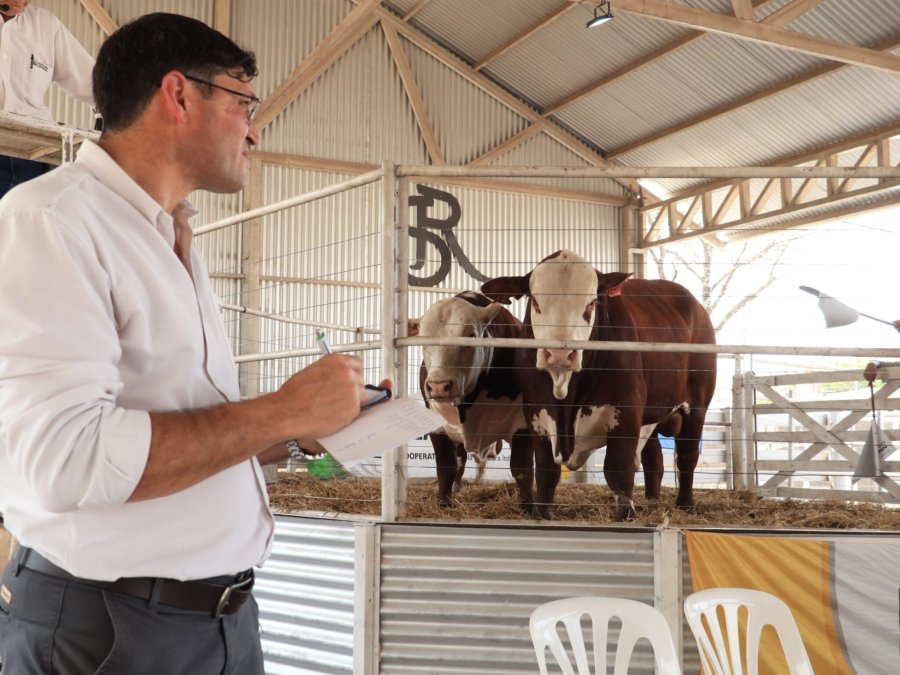 La Cooperativa Lehmann nuevamente se har&aacute; cargo de los remates durante la muestra rural que comenzar&aacute; en menos de una semana. (FOTO ARCHIVO CGL)